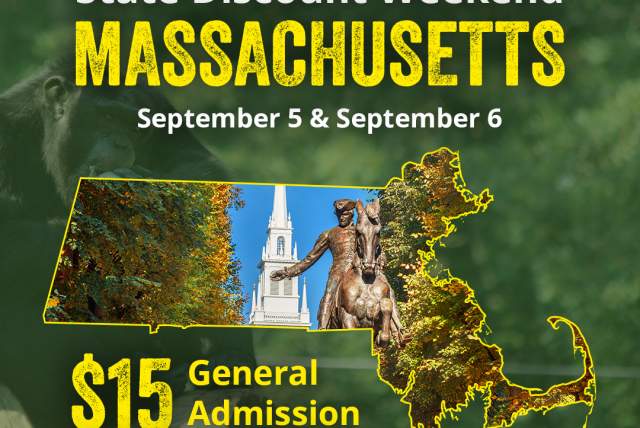 MA State Discount Weekend