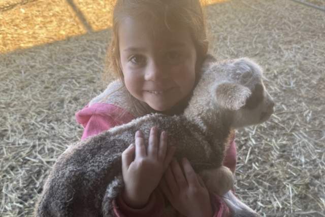 Baby Animal Adventures