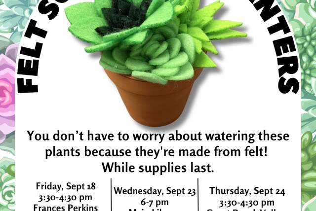 Felt Succulent Planters