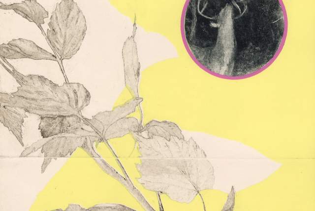 Intaglio Printmaking for Beginners