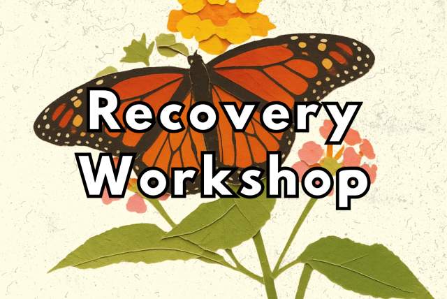 Lego Recovery Workshop