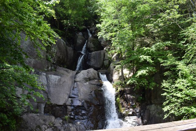 Lehigh Gorge State Park