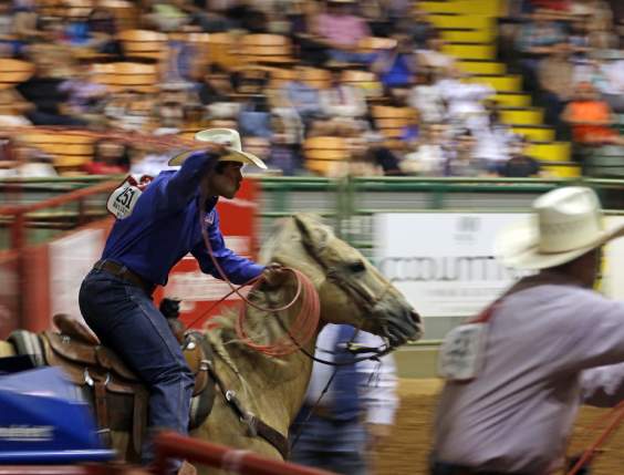 Stockyards Rodeo Cowboy