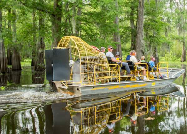 Airboat Sailing Through Swamp From McGee's Ventures In Lafayette, LA