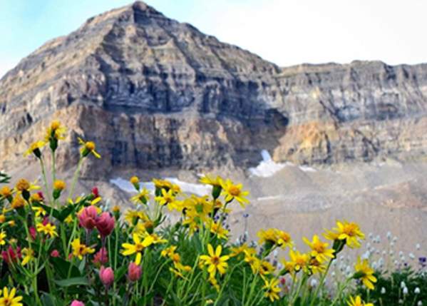 Why Utah Valley?