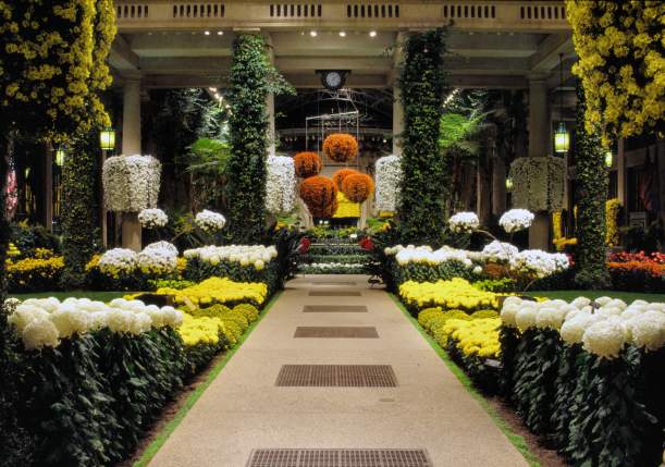 Autumn's Colors at Longwood Gardens