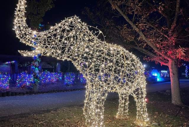 Holiday Magic: Christmas Lights at the Montgomery Zoo