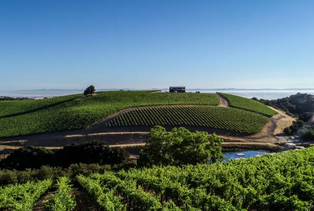 Paso Robles Harvest Festival 2022