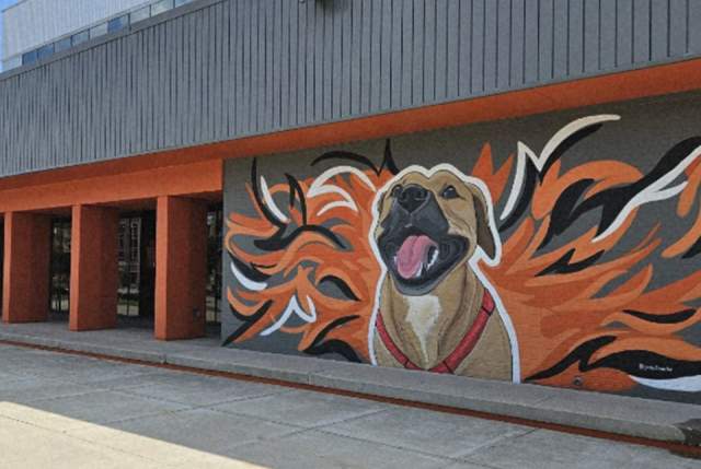 A vibrant outdoor mural featuring a happy dog with an open mouth and red harness, surrounded by bold orange, black, and white flame-like shapes painted on the exterior wall of Sol’s Arcade in Fayetteville, North Carolina.