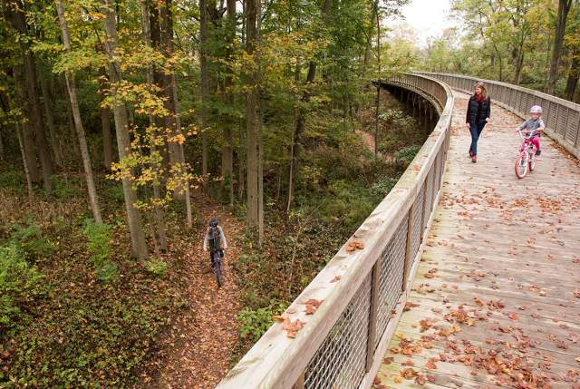 Five Places to Enjoy Fall Foliage in Hamilton County