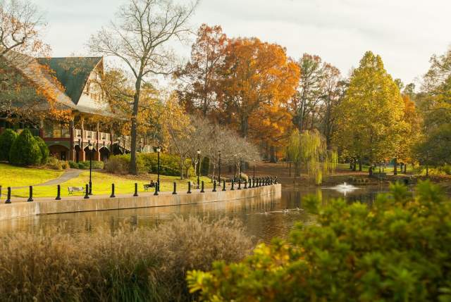 Fall at Cleveland Park