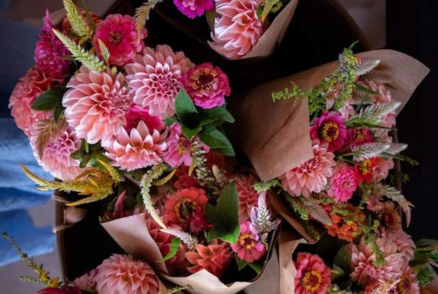 Hub City Farmers Market PC: Alexis Thompson (@classandsunshine)