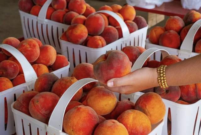 Strawberry Hill USA PC: Wayne Waweru, Fithwood Media