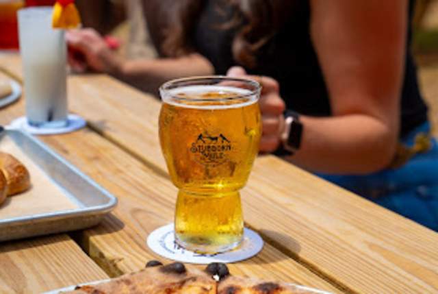 Stubborn Mule Brewing