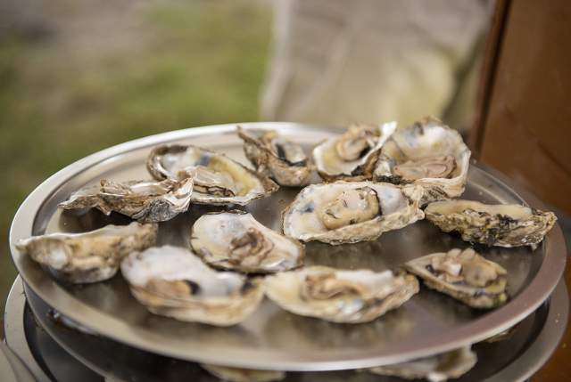 NC Oyster Festival Community Night Kick-Off Concert