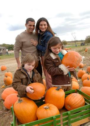 Pumpkin Picking