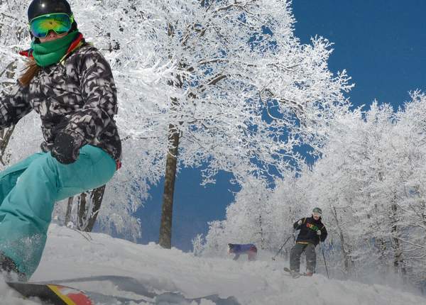 Skiing - Laurel Highland