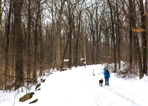 Things to Do in York PA & Beyond This Winter