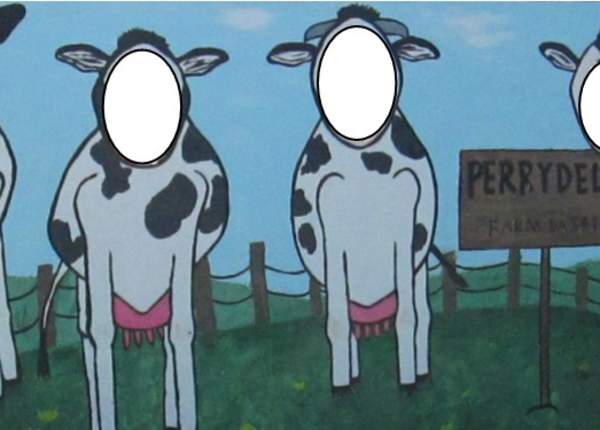 Wooden sign with holes to insert your face over the body of illustrated cows