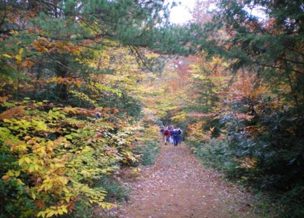 Hickory Run State Park