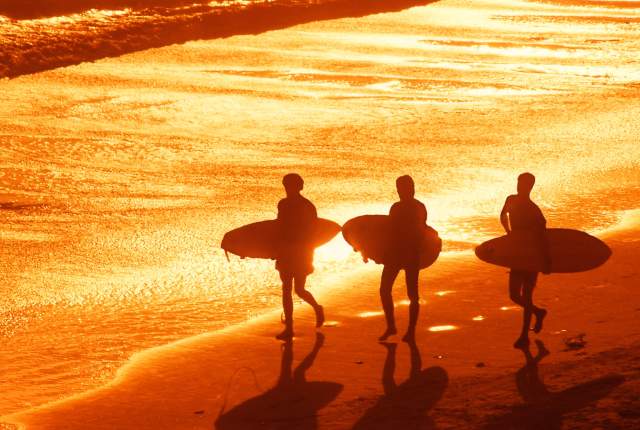 Galveston Beach Surfers