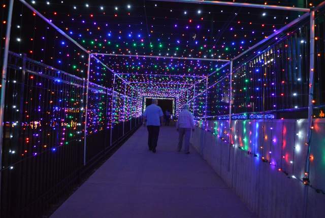 Couple Walking Through Sugar Land Holiday Lights at Constellation Field