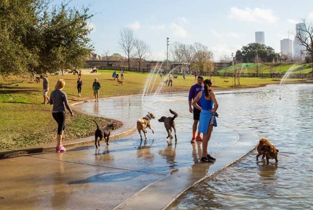 People And Dogs Playing In The Water At Johnny Steele Dog Park In Houston, TX
