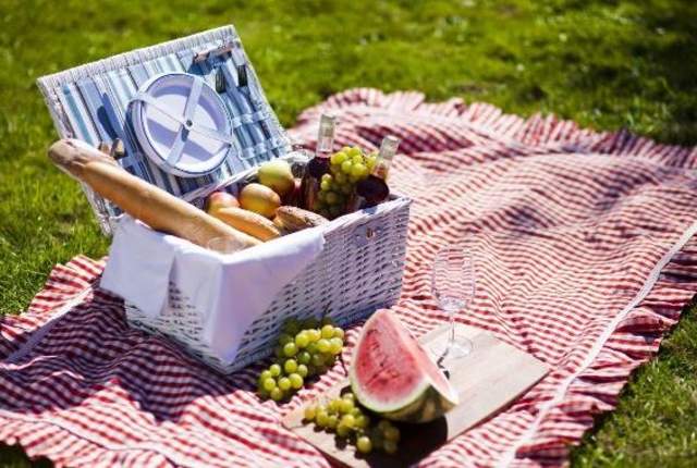 picnic stock photo