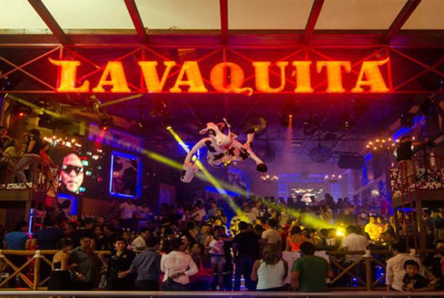 la vaquita