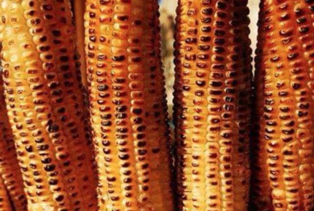 elotes