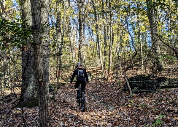 What to Know Before Visiting York County, PA, Parks