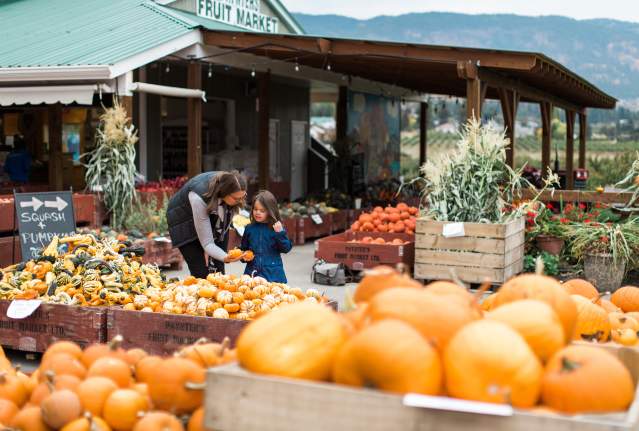 Paynter's Fruit Market - Fall Scene (22)