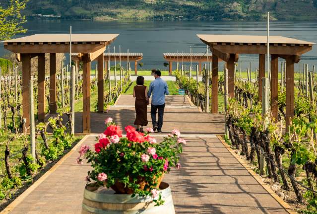 Part of Spring 2022 Westside Wine Trail Shoot