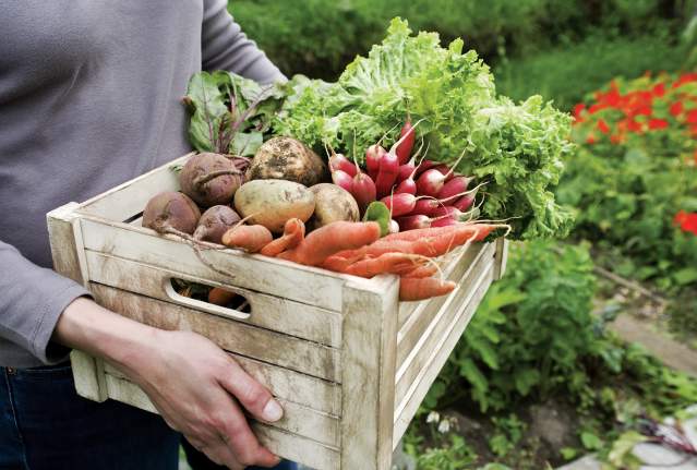 Fueled by Food and Community: Courtney Koga's Love for Kelowna Shines Through