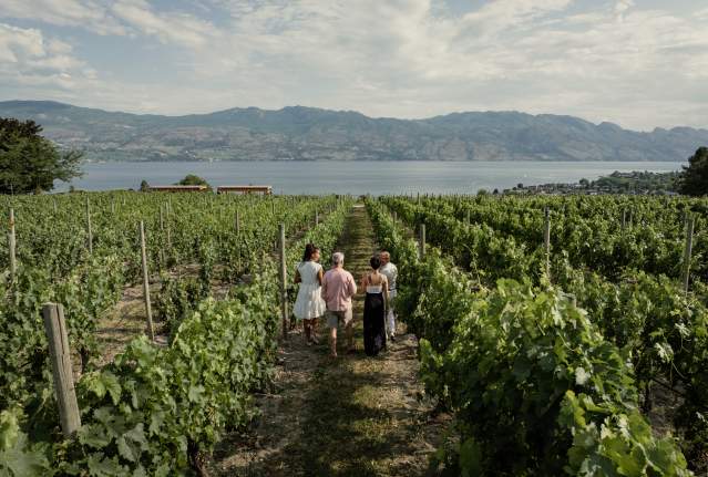 Group walking through vineyard at Quails Gate Winery