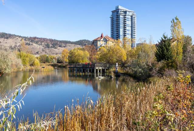 Where to Go Wildlife Watching in Kelowna: Top Nature Spots & Tips