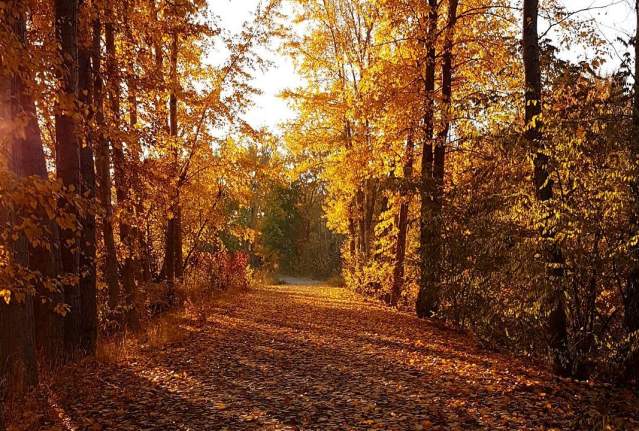 Fall Hiking in Kelowna