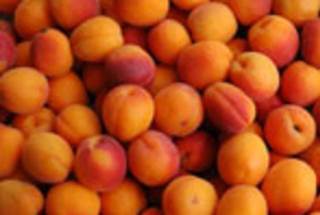 Apricots