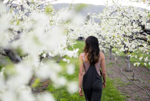 Connect with Your Senses to Explore Kelowna Mindfully