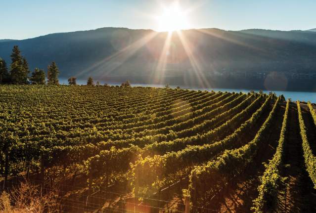 A Staycation Exploring Kelowna One Tasting Note at a Time
