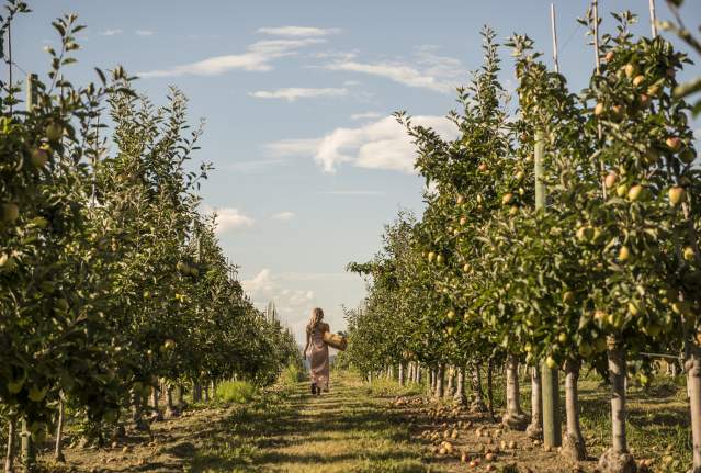 Best of the Best Okanagan Fall Activities