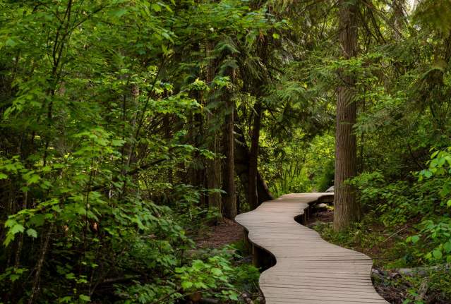 Underappreciated Hiking Trails in Kelowna and the Okanagan Valley