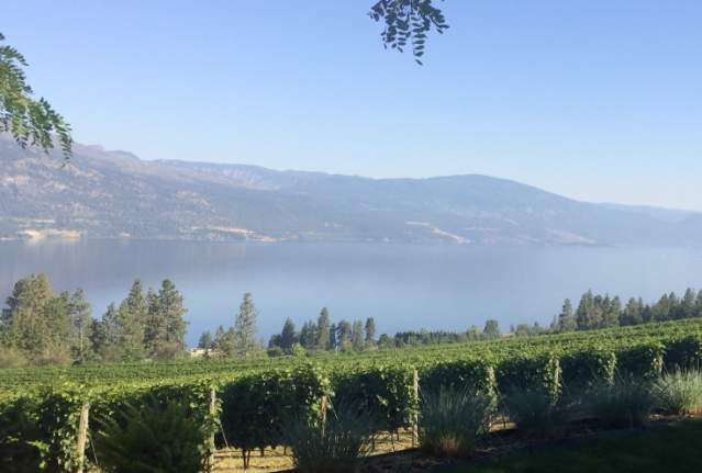 Local Favourites in Beautiful Lake Country