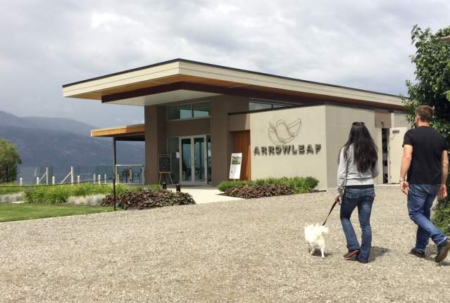 4 Kelowna Wineries to Visit with Your Dog