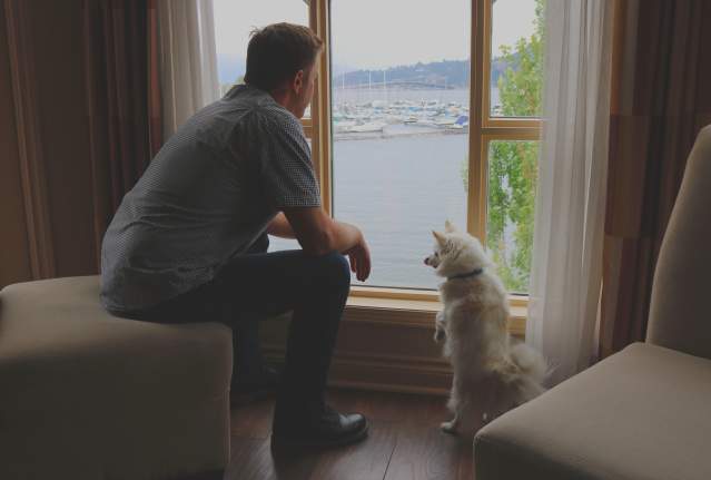 Dog Friendly Accommodations in Kelowna