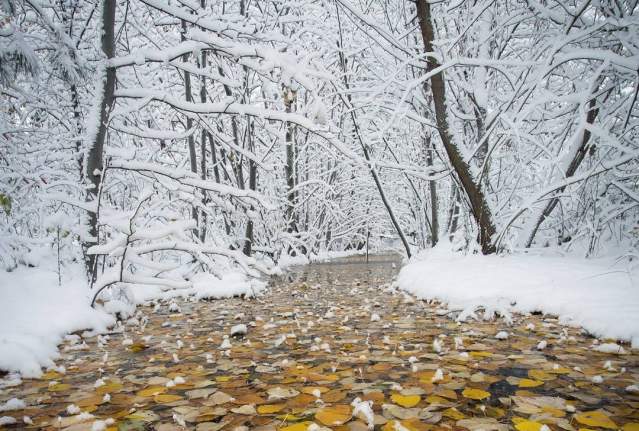 Year-Round Family Fun at Mission Creek Greenway