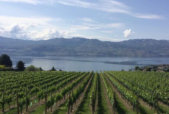 Local Favourites in Beautiful West Kelowna