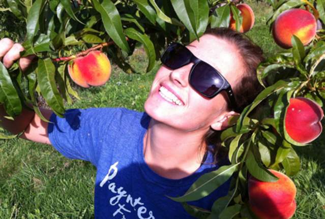Paynter's Fruit Market