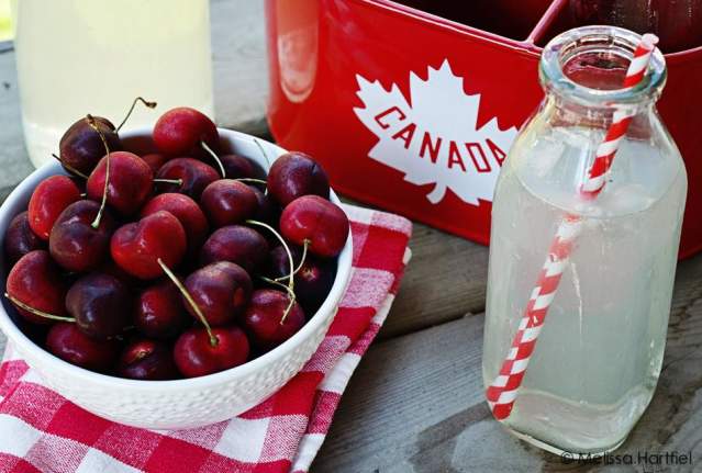 Twin Oaks Certified Organic Orchard