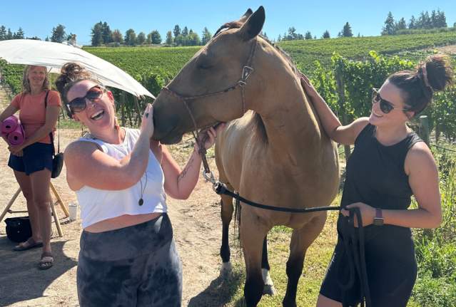 Yoga & Horse Meditation Among the Vines